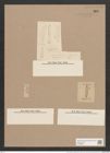 Navicula cancellata var. subapiculata Grun. (de-Toni-Nr.: Genus 1, Species 116) Zeichnungen Sammlung Grunow Nr. 366 (NHMW-BOT-W0366655)